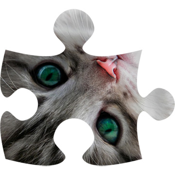 Cats puzzle (jigsaw)